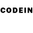 Псилоцибиновые грибы GOLDEN TEACHER MasterParticle856