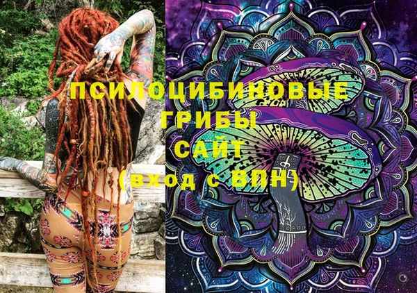 индика Лихославль