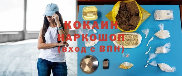 индика Лихославль