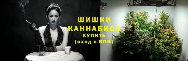 дмт Липки