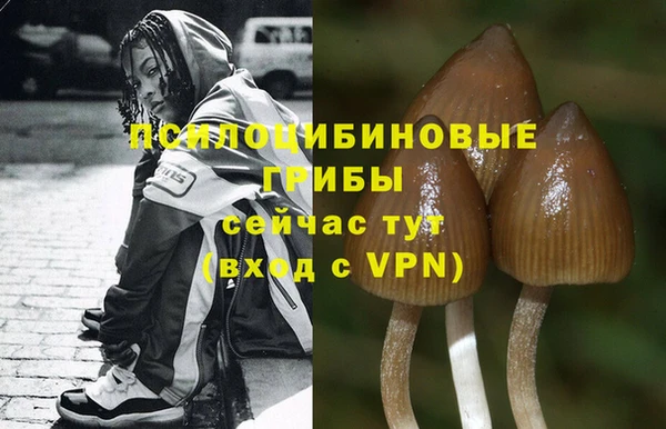 стаф Лиски