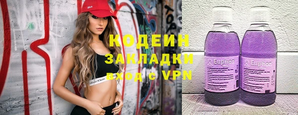 индика Лихославль