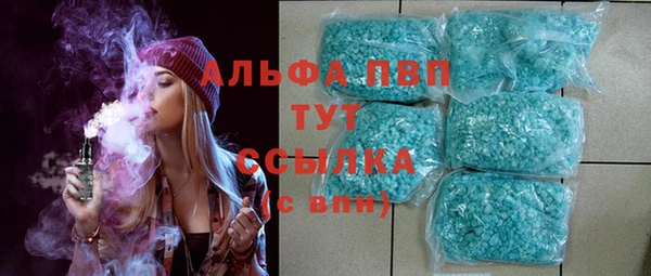 индика Лихославль