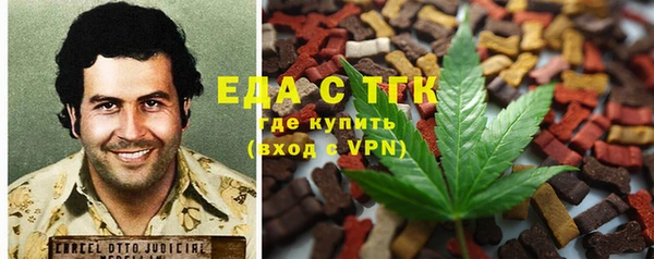 индика Лихославль