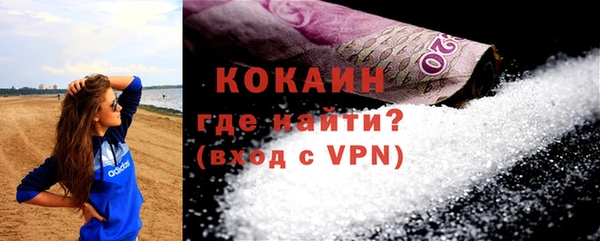 индика Лихославль