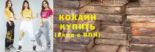 индика Лихославль