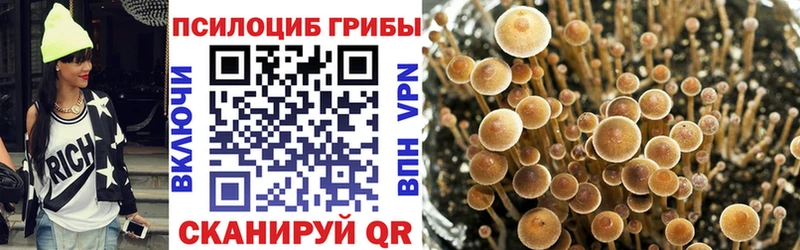 Купить закладки  Шимановск  Псилоцибиновые грибы мухоморы 