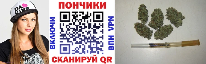 Купить где Шимановск Канабис THC 21%